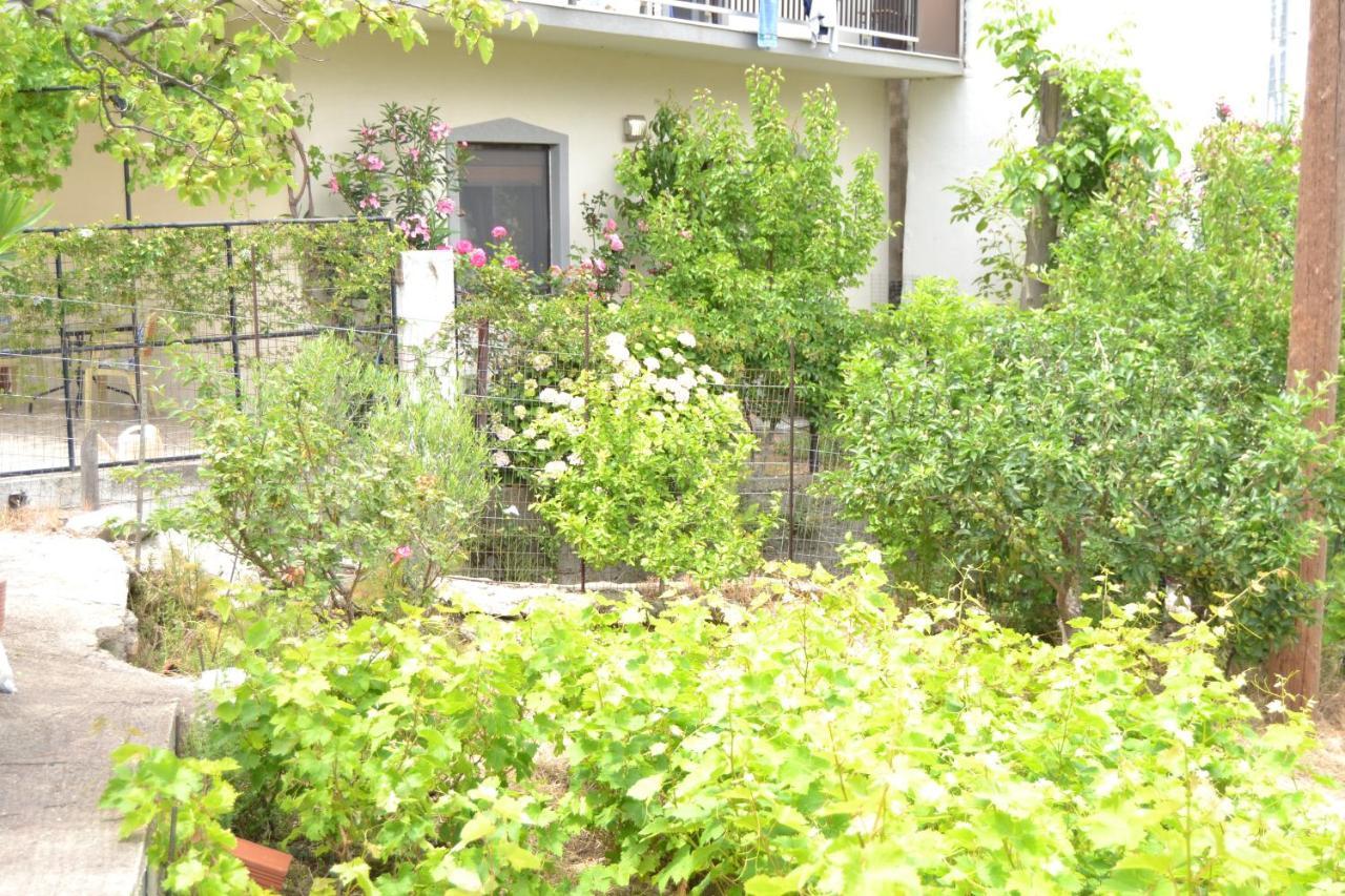 Lazatka Flat In Capital Chora Lejlighed Samothráki Eksteriør billede